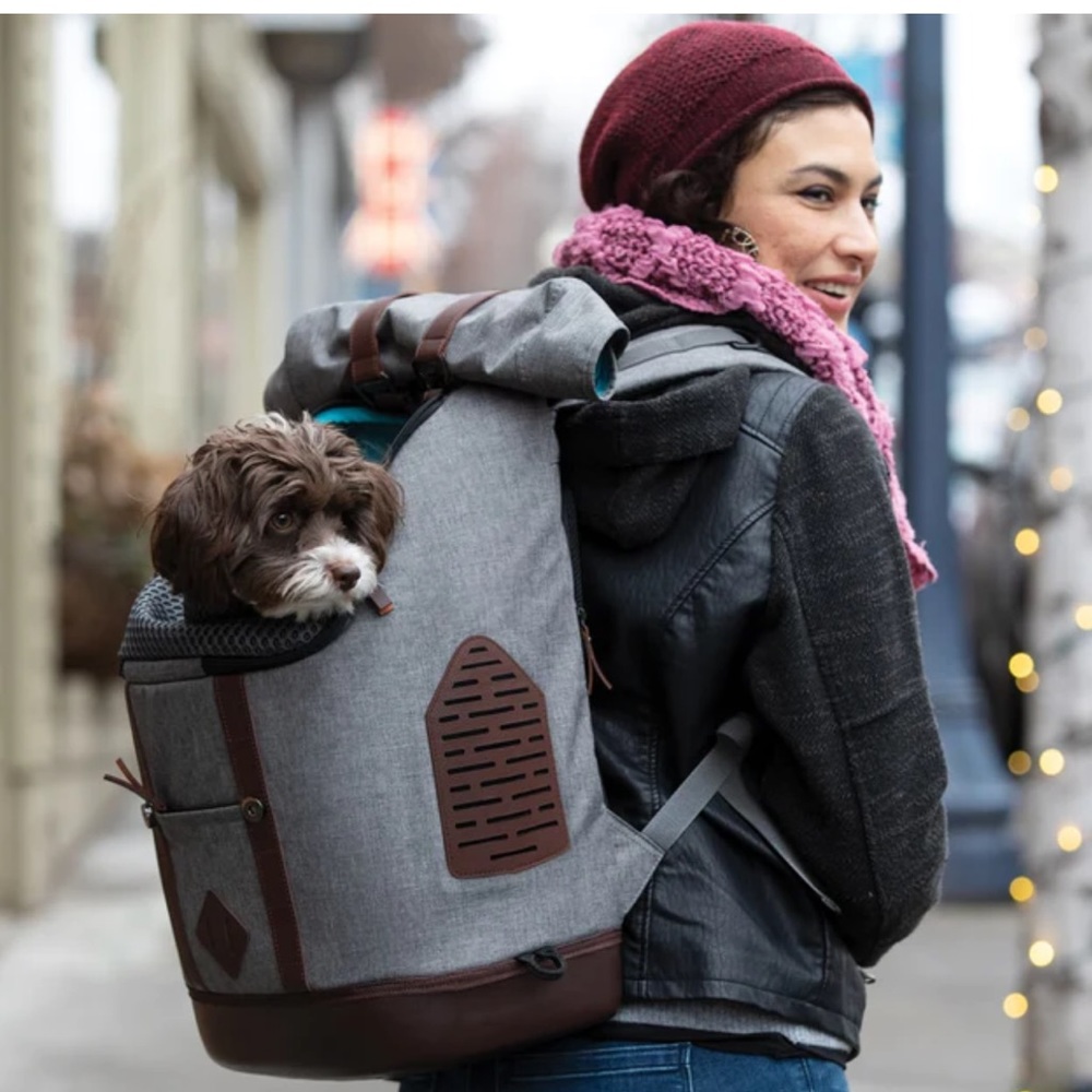 Kurgo Rucksack Pet Carrier